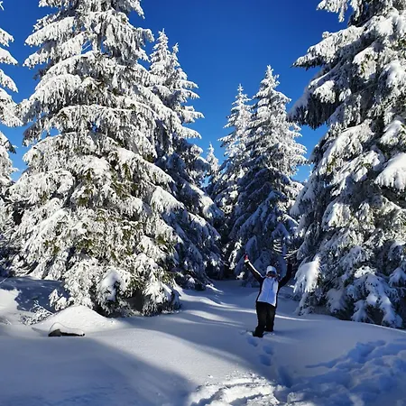 Czarna Gora 239