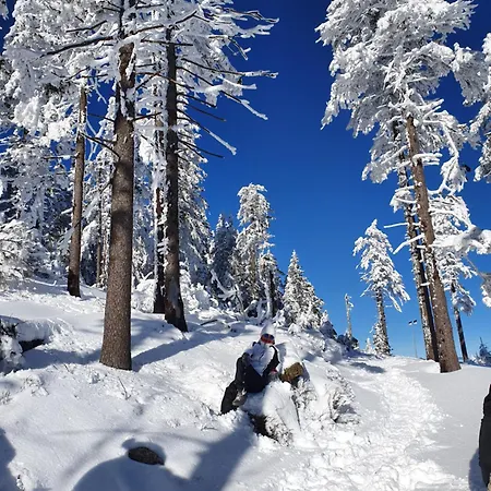 Czarna Gora 239 4* Sienna (Klodzko)