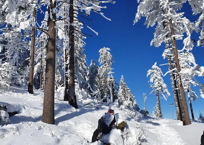 Czarna Gora 239 4* 시에나